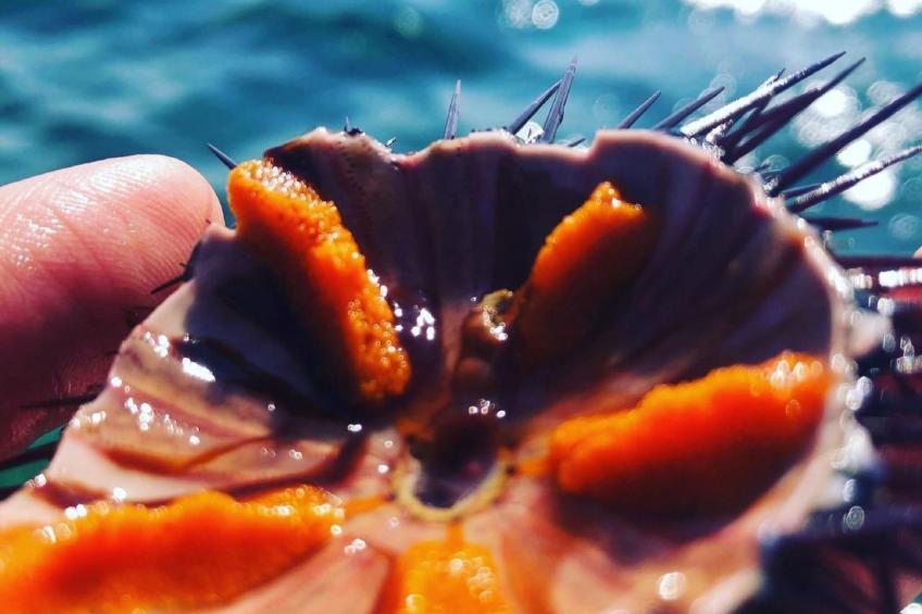 Villa mit privatem Pool - foto 46