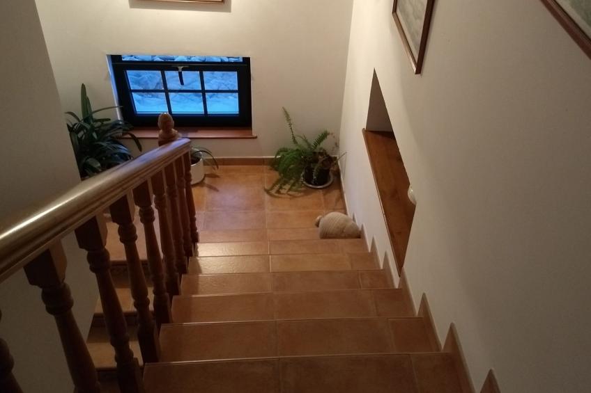 Almacen Wohnung - foto 26