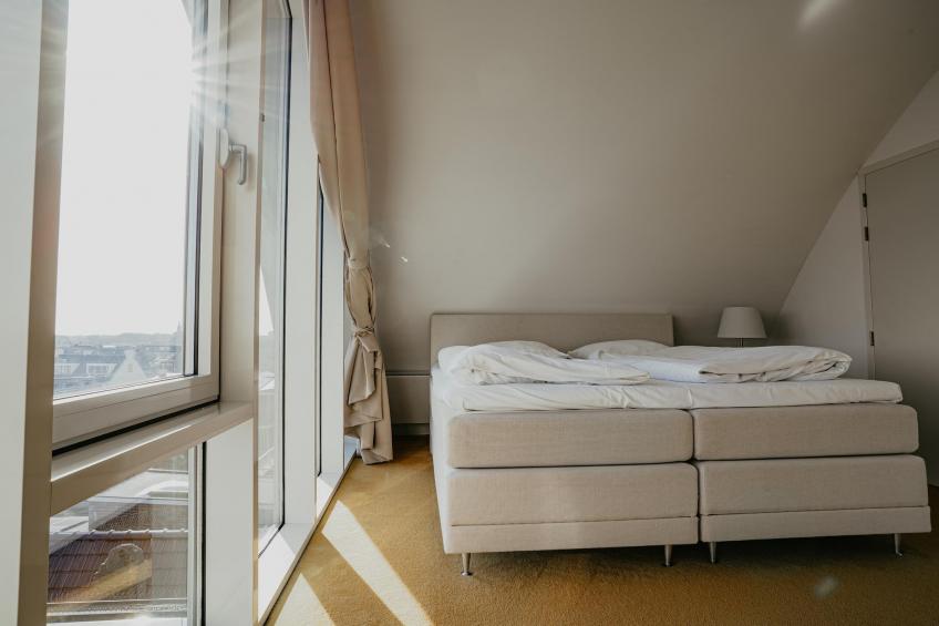 De ZeeParel - Pink Shrimp - foto 4