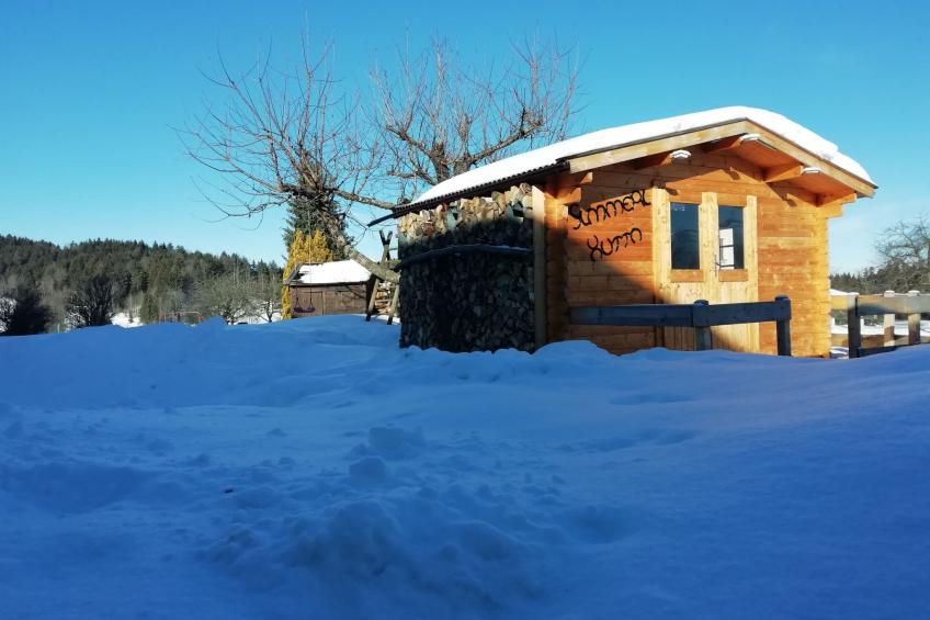 Plattenstein - foto 33