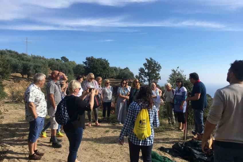 Geräumige Artemide-Wohnung mit Terrasse - foto 31