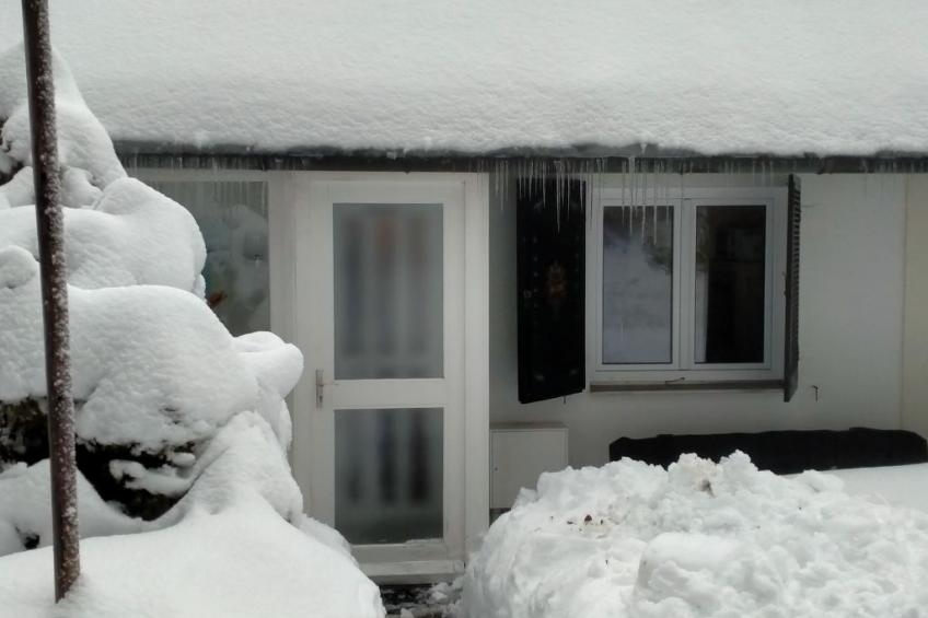 Fichtenstueble - foto 16