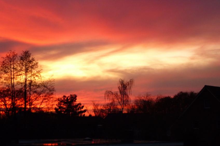 Elbufer 4B - foto 10