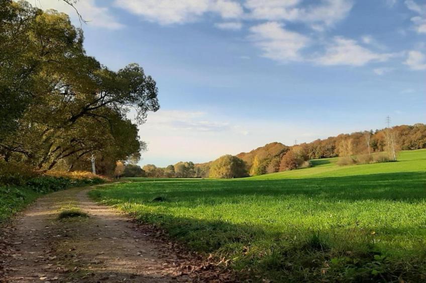 Im Erzgebirge - foto 18