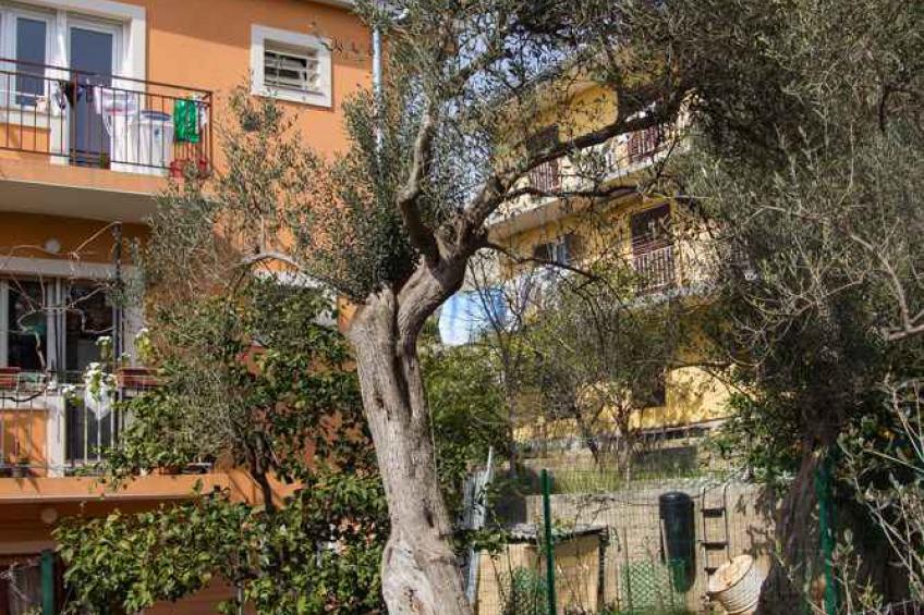 Holiday apartment with 2 bathrooms - BF-ZRFR - foto 2