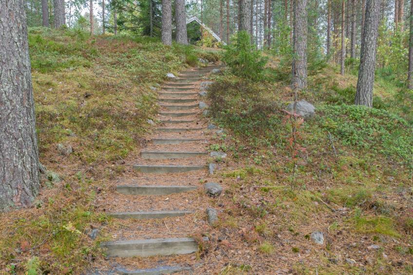 Koli, ulpukka - foto 56
