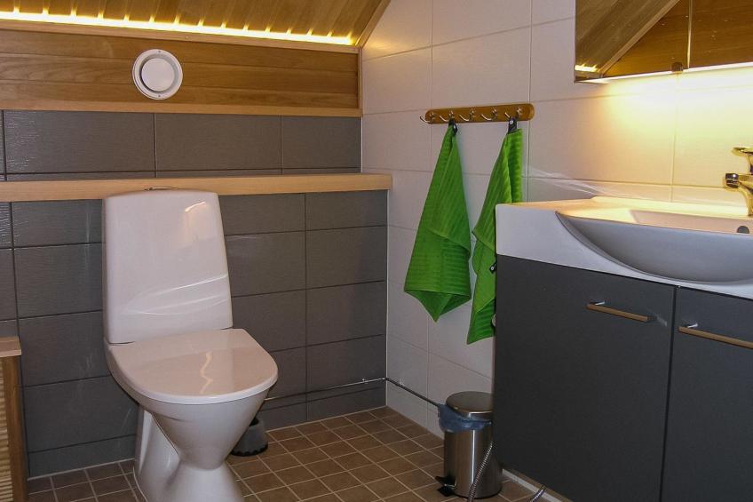 Huvila ferdinand - foto 19