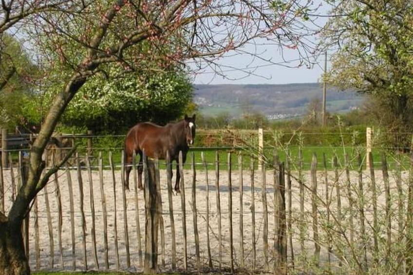 Vue au Jardin - foto 14