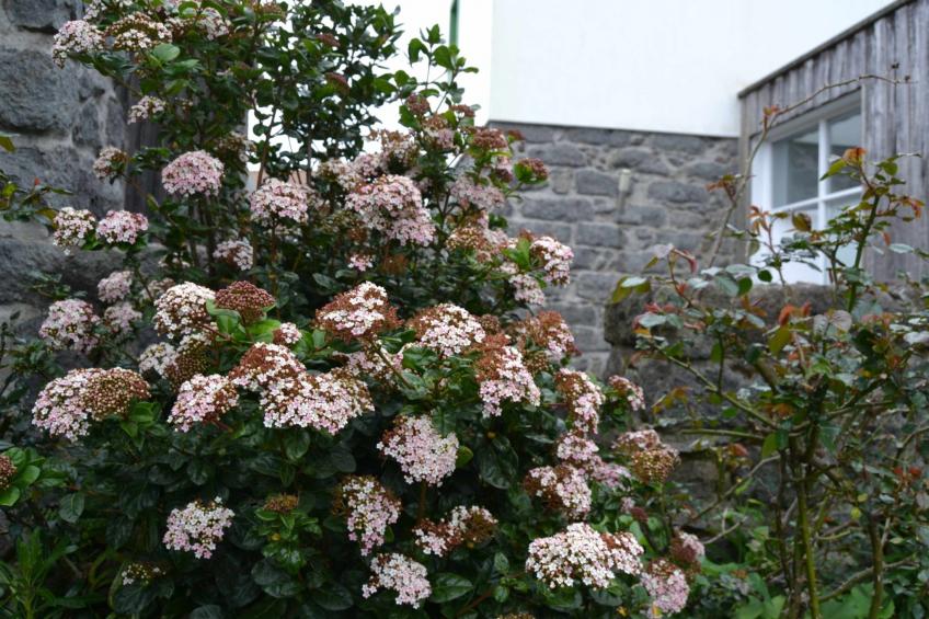 Tradicampo-Ferienhaus A Arribana - foto 20