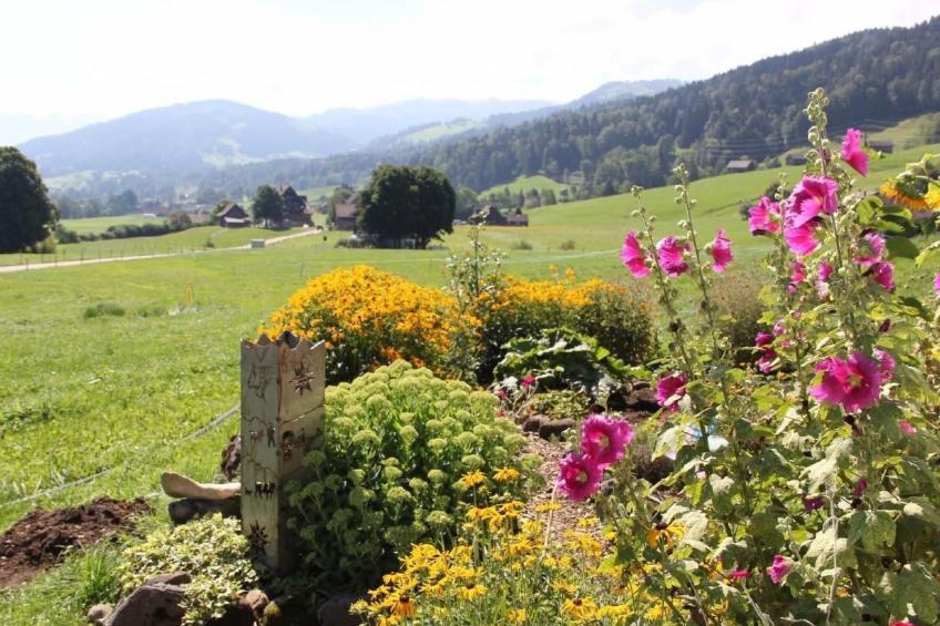 Scheftenau - foto 13