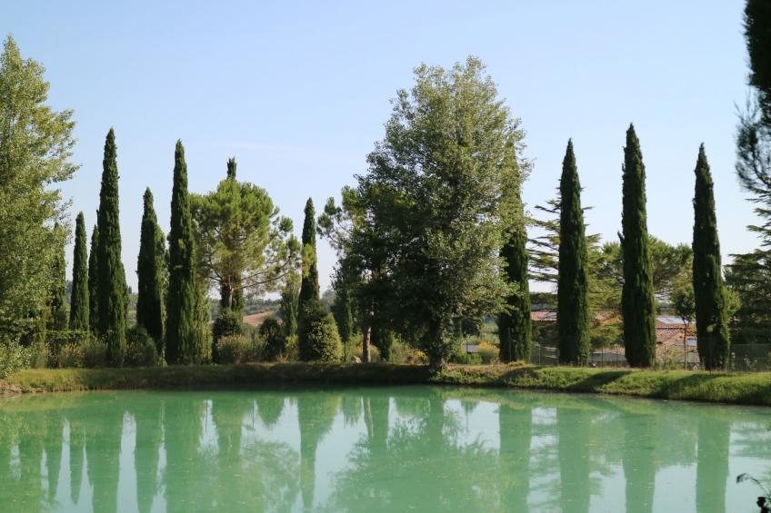 Wohnung in Sarteano mit Privatparkplatz - foto 23