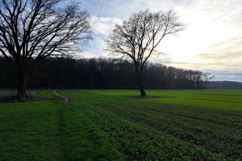 Villapark Ehzerburg 2 - foto 33