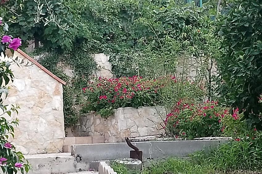 Zwei-Zimmer-Ferienhaus 11 in der Residenz Liberato Peschici - foto 26