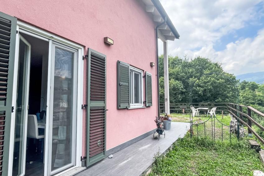 Le radici dell´ulivo - foto 9