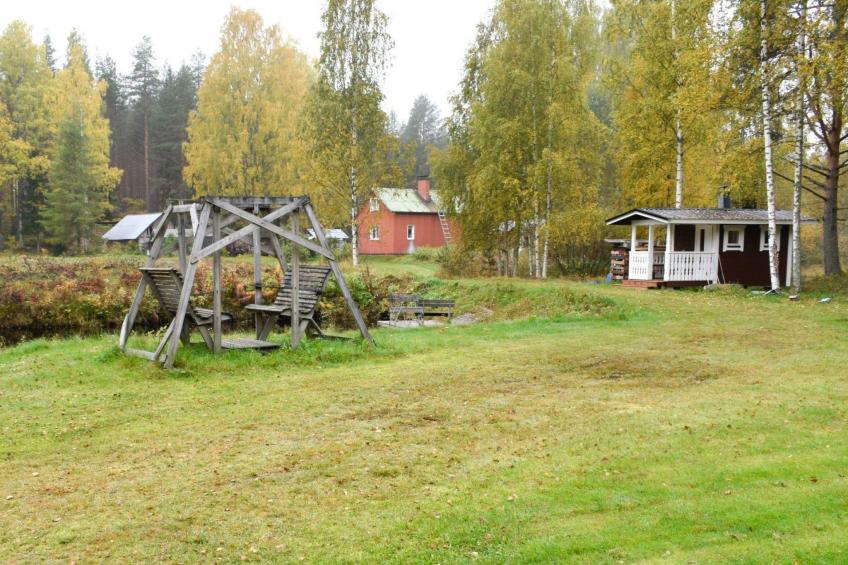 Koli, metsälä - foto 16