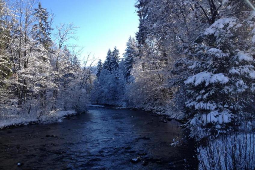 Apartments Toni Schönau am Königssee-Göll Wohnung 2 55 qm - foto 29