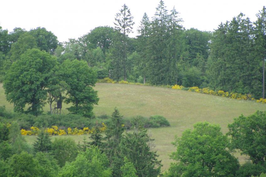 Casa Marlies in Daun - foto 17