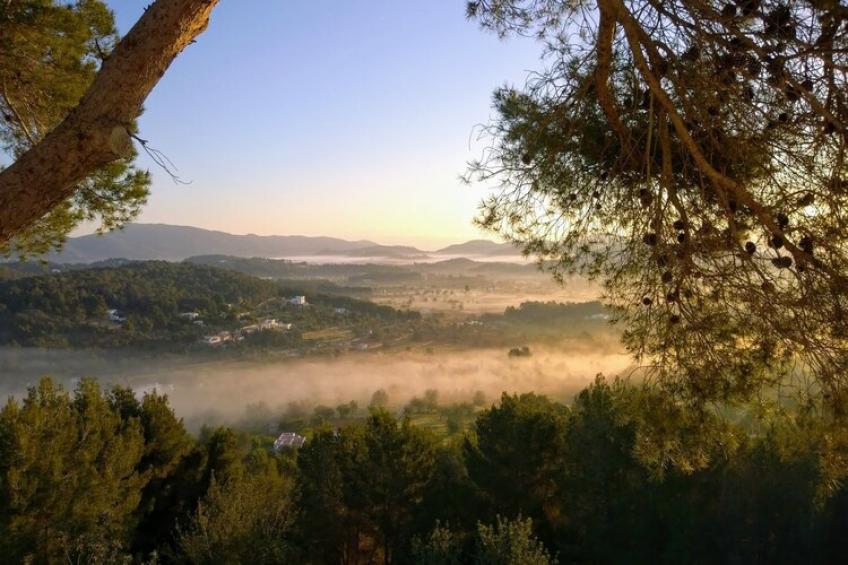 Finca Planetas - foto 60