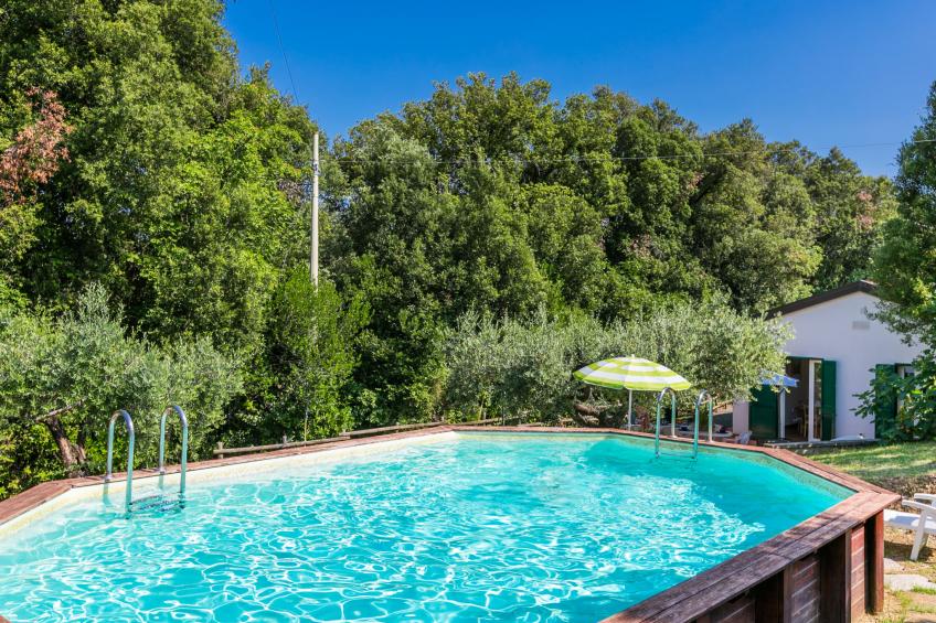 Podere gli Olivi - foto 2