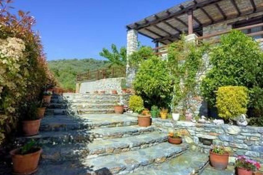 Margarites - foto 31