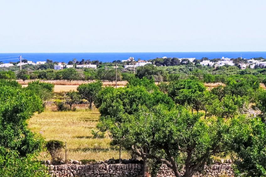 Finca del Sol - foto 4