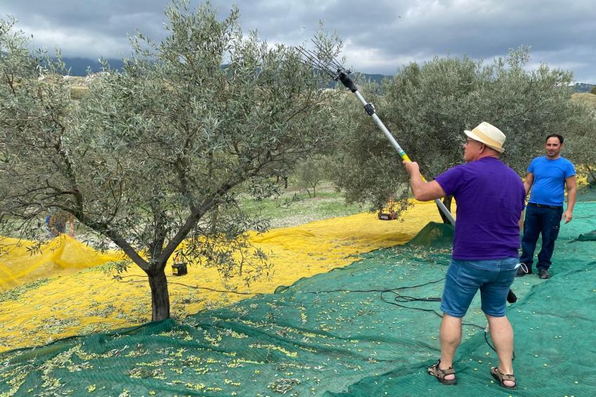 Wohnung Haus Aphrodite - foto 32