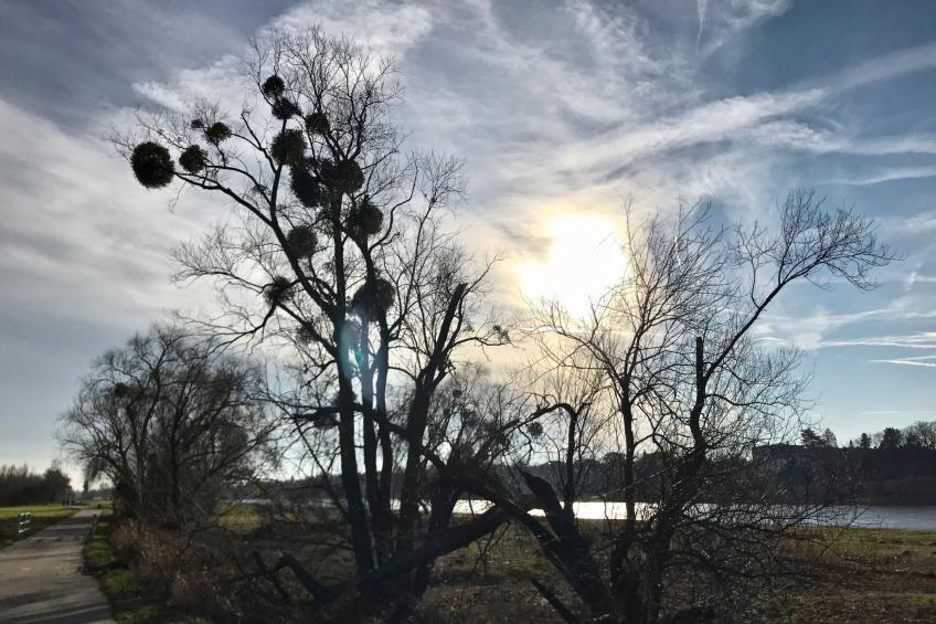 5-Sterne (Deutscher Tourismusverband) - Erholung wie ein König - - foto 28