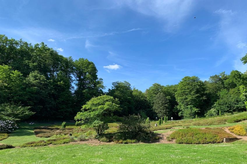 DELUXE DOUBLE ROOM - foto 33