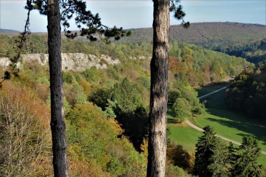 Li Vêrt Veschau - foto 32