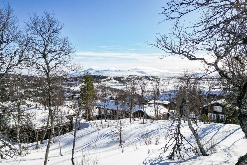 Fjälldrömmen - foto 25