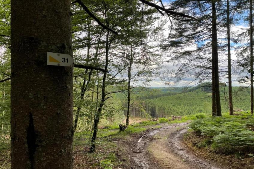 Le Pré en Bulles - foto 37