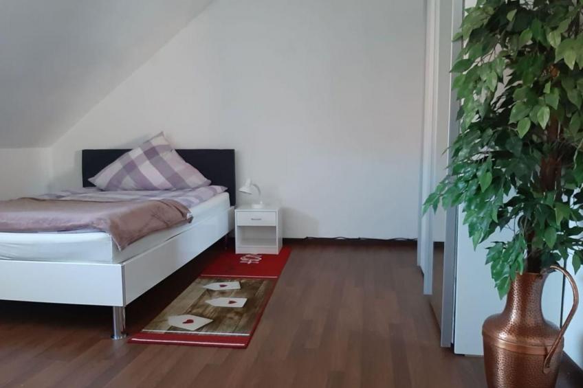 Am Schlosspark - foto 3