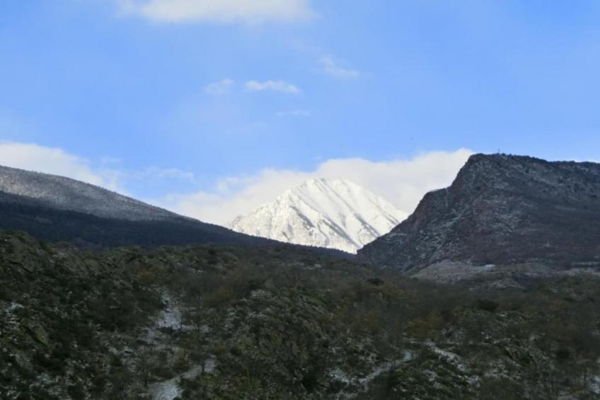 Cobert d'en Piarró - foto 31