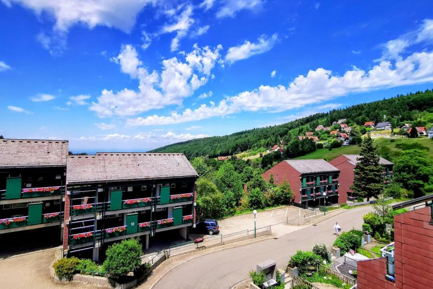Schwarzwald Loft mit Schwimmbad und herrlicher Aussicht - foto 8