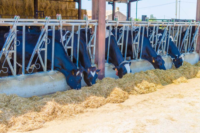 Sa Caseta De Ses Vaques.son Covas - foto 38