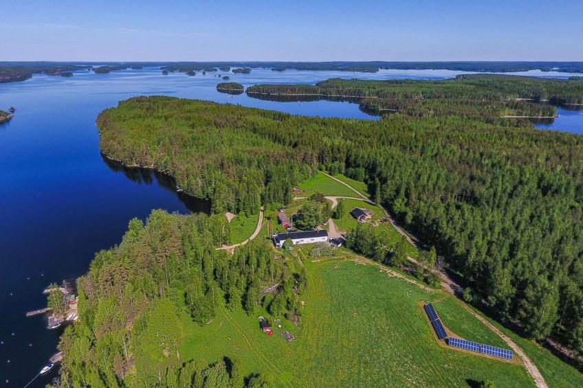 Koivurinne - foto 28