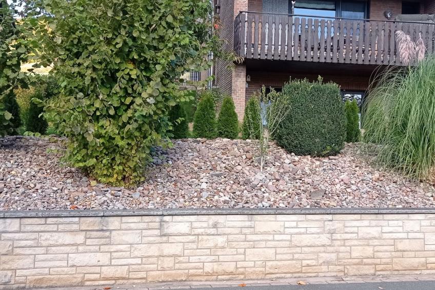 Apartment mit Hund - foto 5