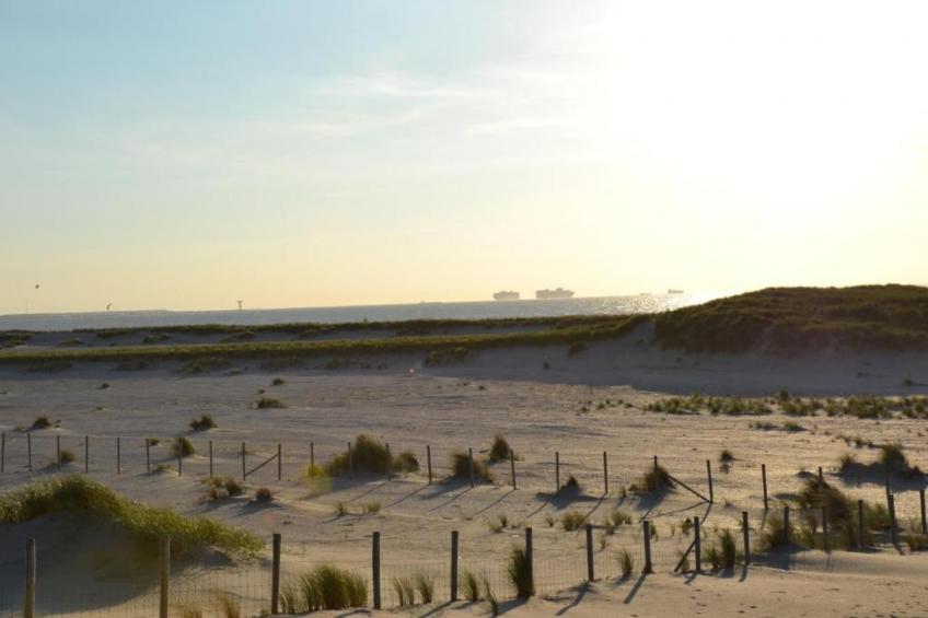 Vakantiepark De Heeren van 's Gravensande 2 - foto 34