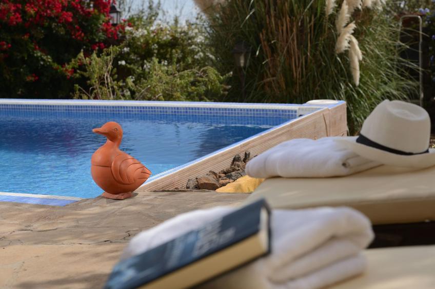 mit Schwimmbad nur für Erwachsene - foto 6