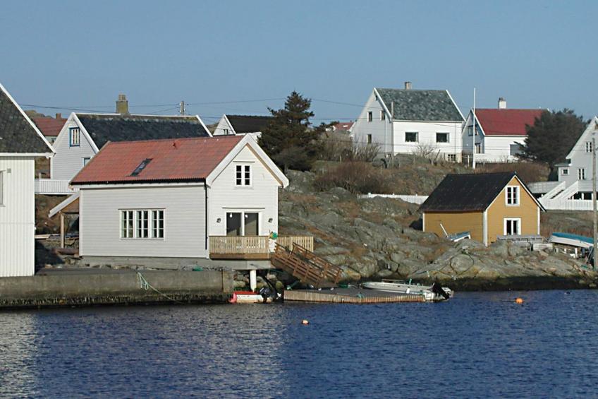 25142-HAVSULA - foto 4