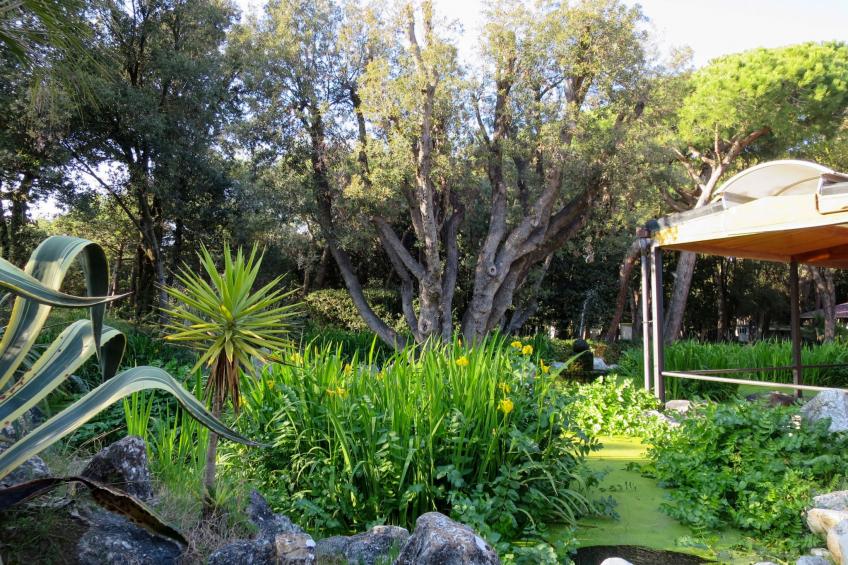 Camping Village Baia Domizia (BDO124) - foto 23