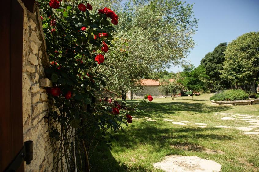 Tranquil Getaway with Shared Pool in Bale - One Bedroom Apartment - foto 11