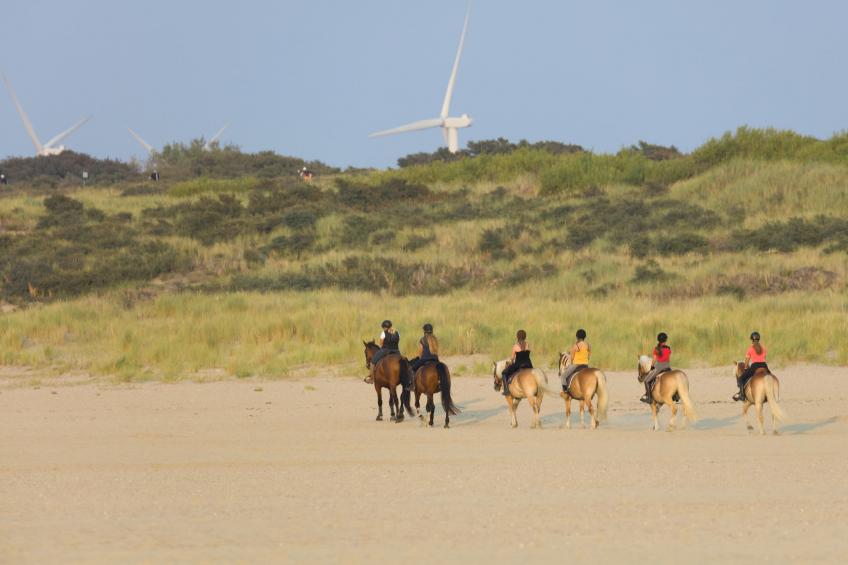 Domein Het Camperveer Veerse Meer 8 - foto 9