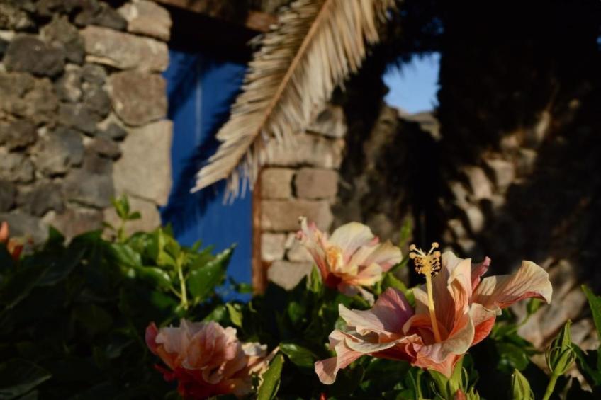 Appartement Casa Hibisco mit schönem Garten - foto 34