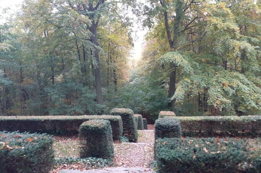 119773 - foto 30