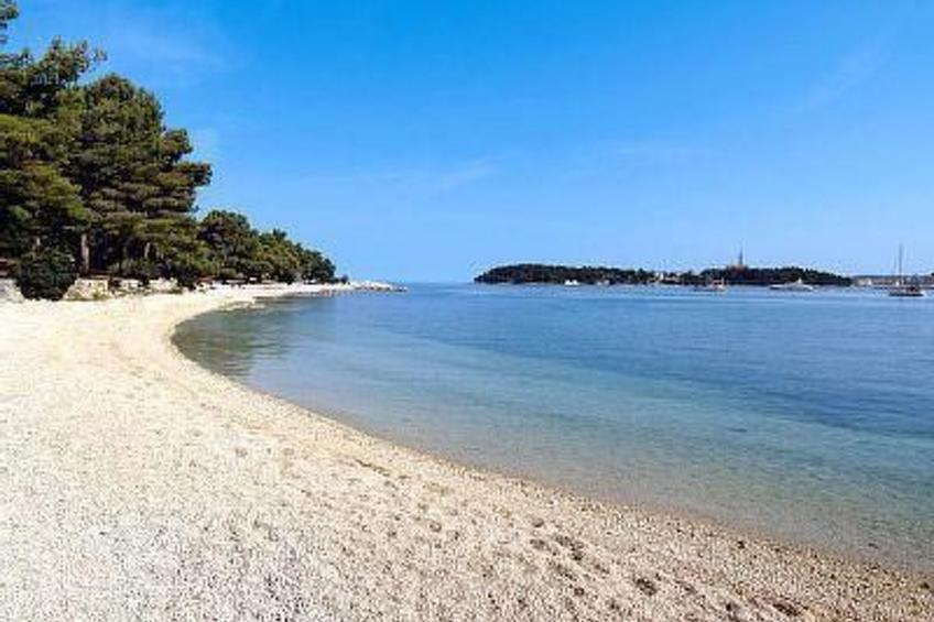 mit Pool, Whirlpool, Terrasse und Garten - foto 29