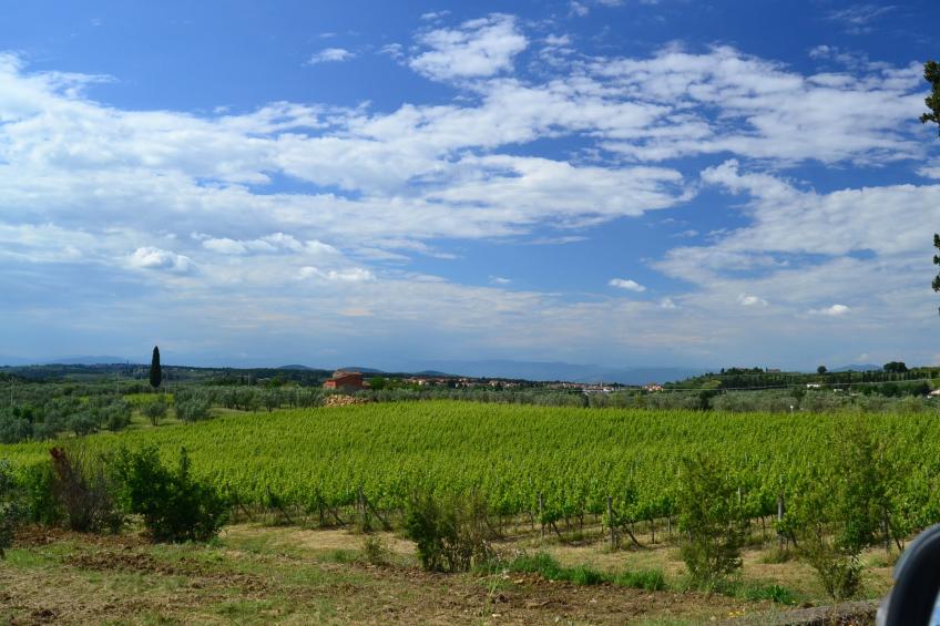 Terra Nisa - foto 11