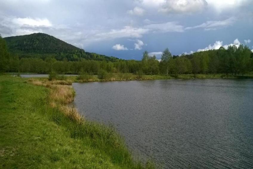 Domaine Des Messires 2 - foto 24