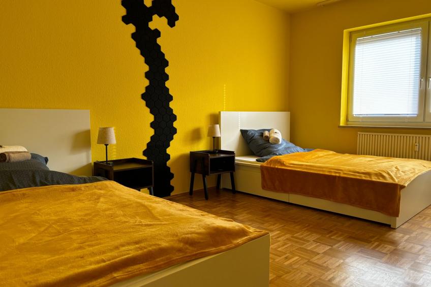 Hive-Homes - foto 9