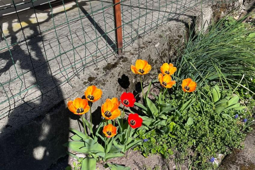 Sunnähöggli - foto 12